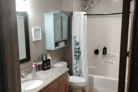 Bathroom Before