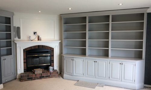 Bookshelf & Cabinet Painting