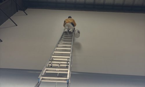 Using a Tall Ladder for High Wall Painting