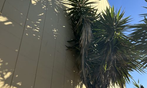 Side of Building Before