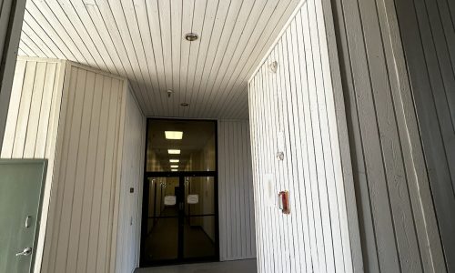 Bright and Clean Ceilings