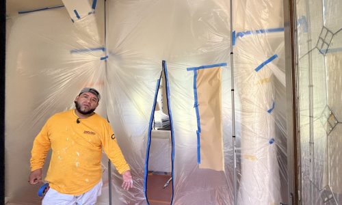 Protecting Home's Interior