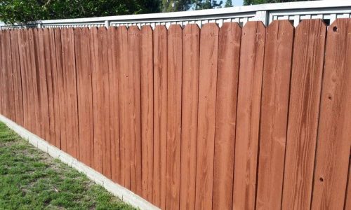Fence Staining Project