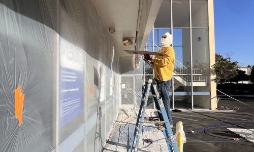 Bringing Color to Life