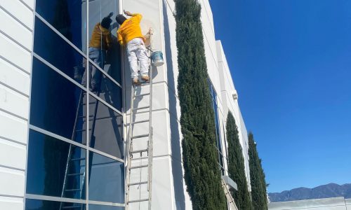 In Progress - Trim Work