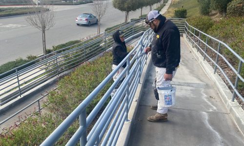 Fence Painting in Progress