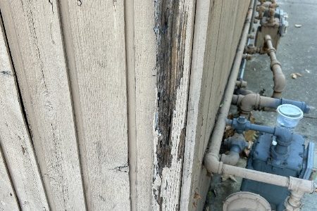 Unprotected Surfaces Showing Decay