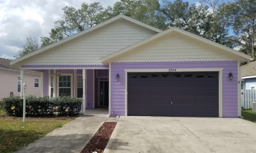 Vinyl Siding Painting