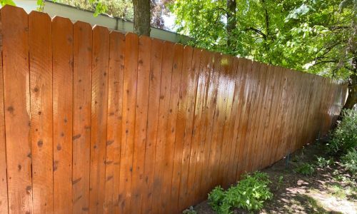 fence stain after