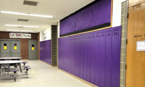 A bold color choice!