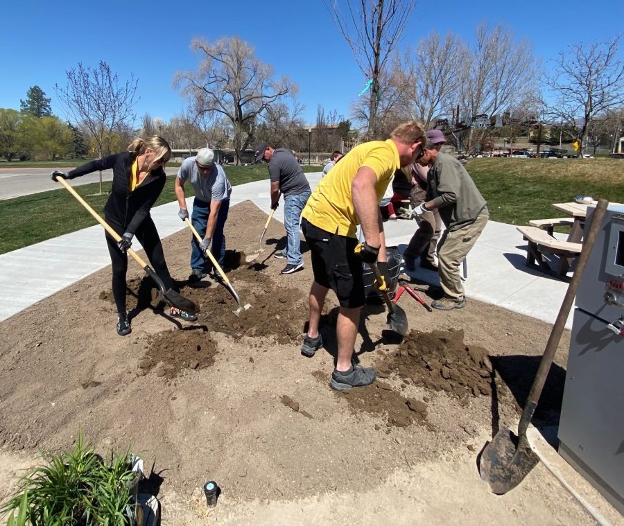 tree planting Preview Image 8