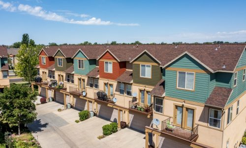 Davis County Painters