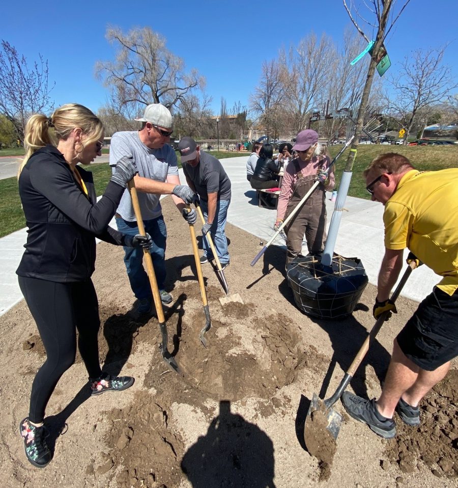 tree planting Preview Image 12