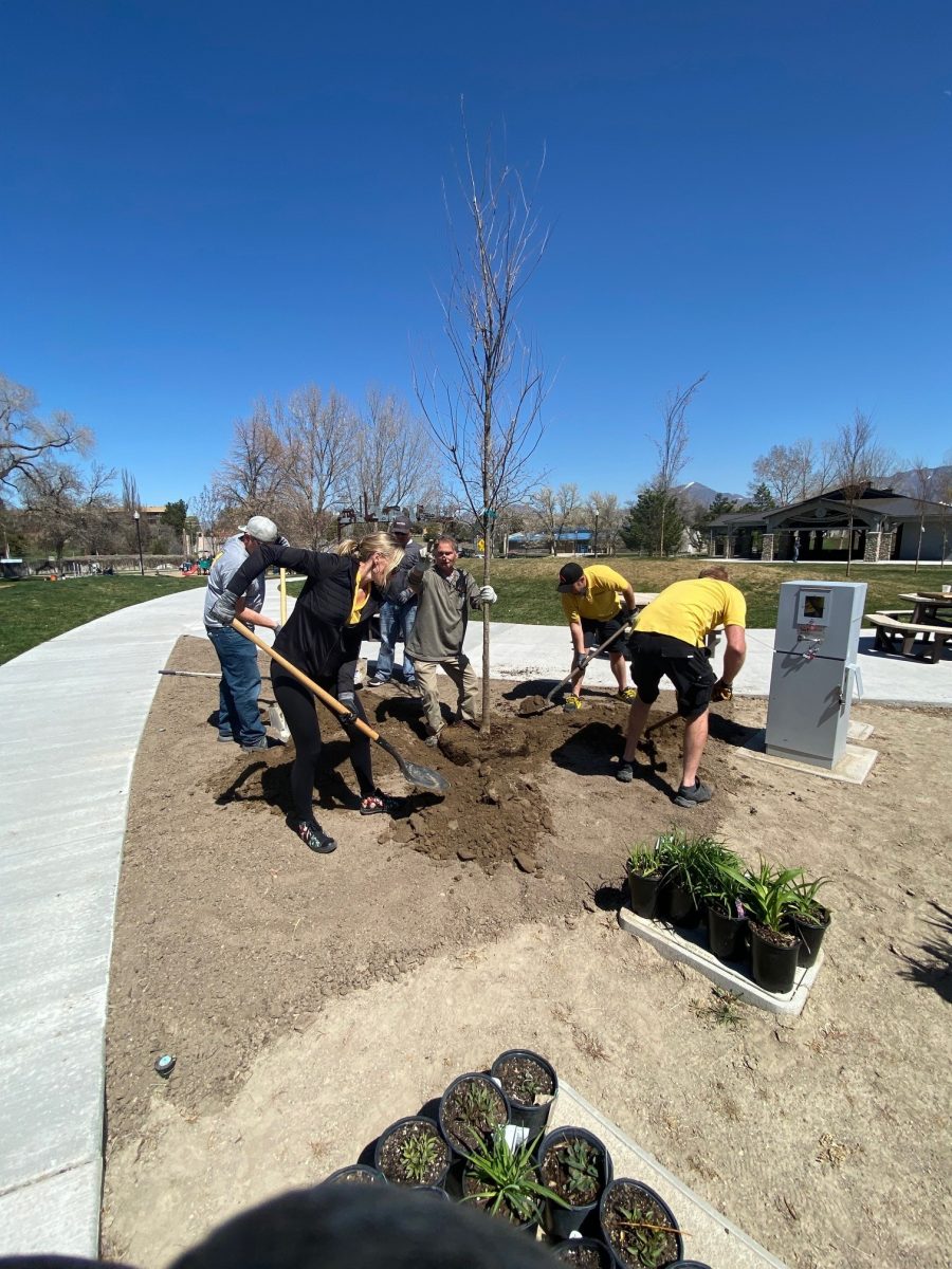 tree planting Preview Image 4