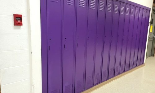 The color added fun and contrast