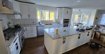 Kitchen Cabinet Makeover