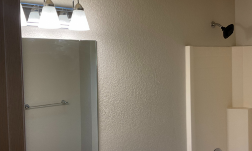 Bathroom Painting in Olympia, WA