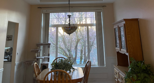 Dining Room Painting in Graham, WA