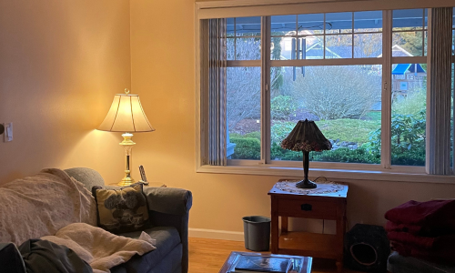 Living Room Painting Graham, WA