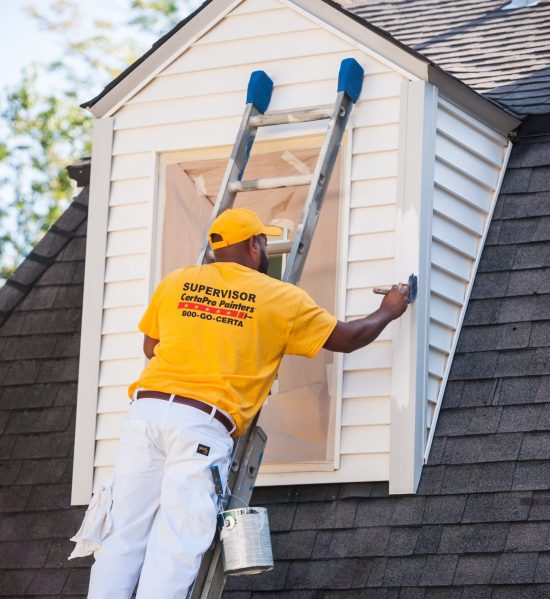 Vinyl & Aluminum Siding Painters Olympia, WA