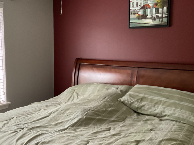 Bedroom Accent Wall Painting