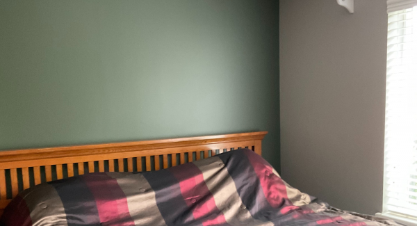 Green Bedroom Painting in Lacey, WA