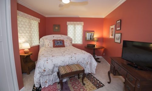 Interior Bedroom Painting