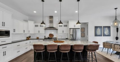 Full Kitchen Painting Painting Project