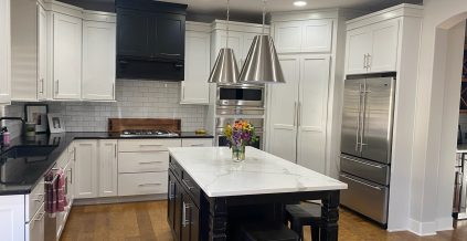 Kitchen Cabinet Painting