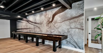 Basement Project