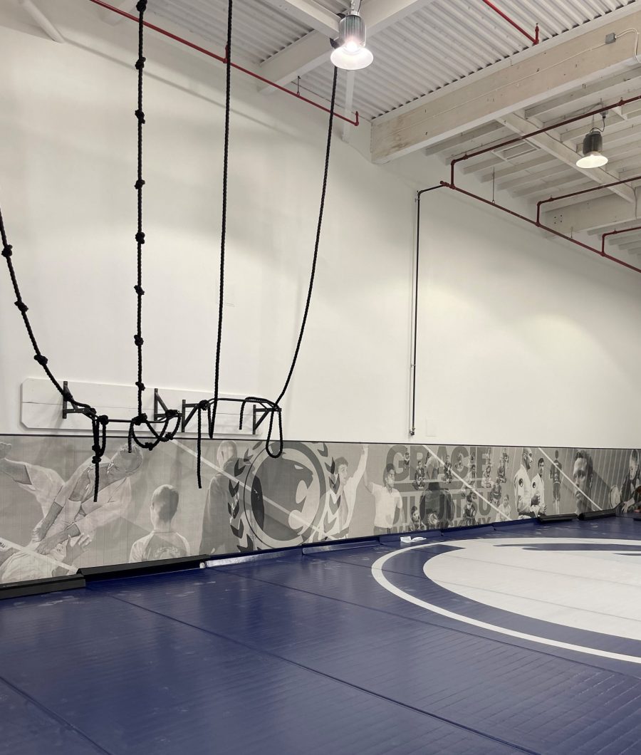 Side View of Walls and Ceiling at Renzo Gracie in Warwick, NY Preview Image 2