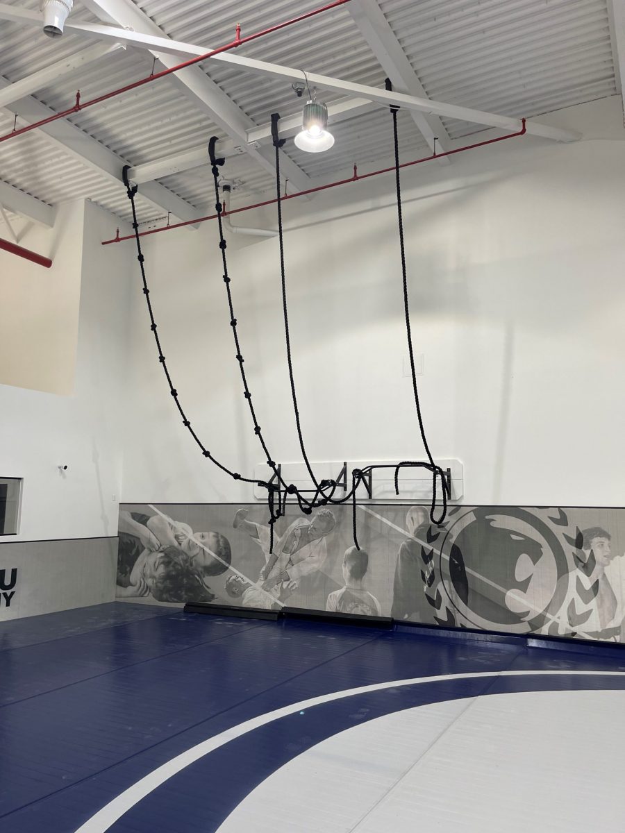 Walls and Ceiling at the Renzo Gracie Studio in Warwick, NY - Angle 2 Preview Image 3