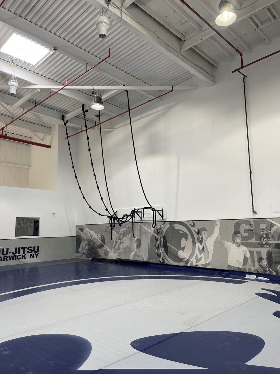 Walls and Ceiling at the Renzo Gracie Studio in Warwick, NY - Angle 3 Preview Image 1