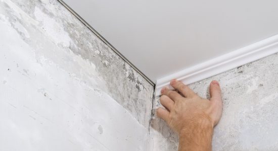 Crown molding install