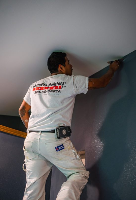 Interior & Exterior Painting Professional in Mokena, IL