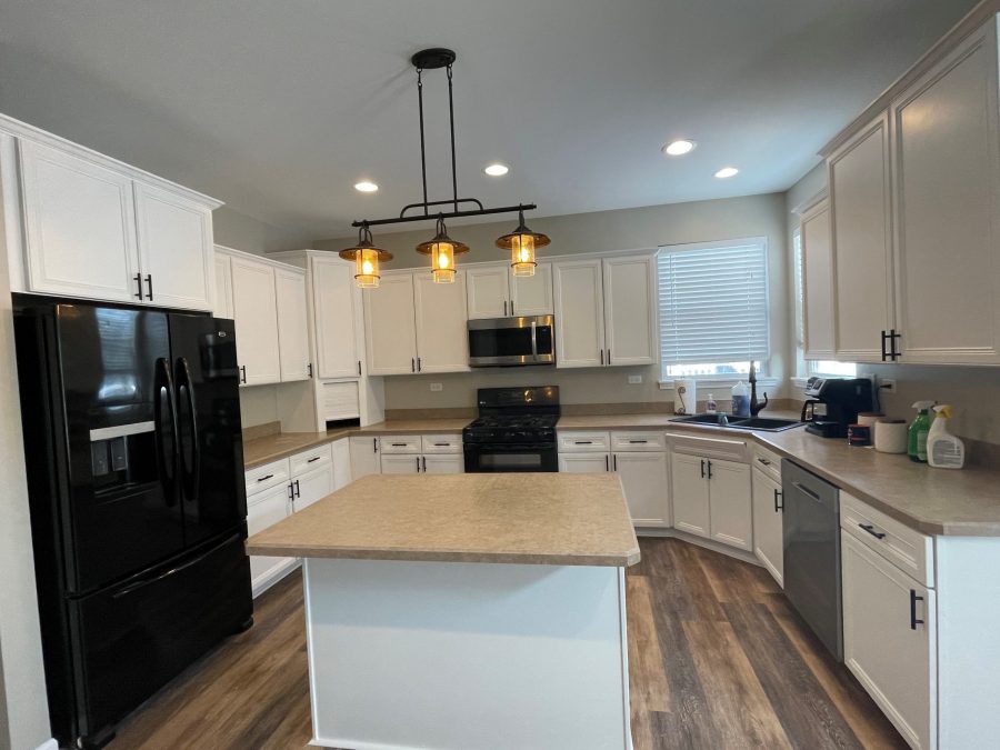 Cabinet painting project