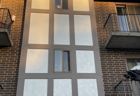 Carpentry and Painting Project