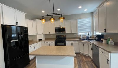 Cabinet painting project