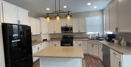 Cabinet Painting Project