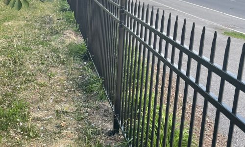 Painted Fence