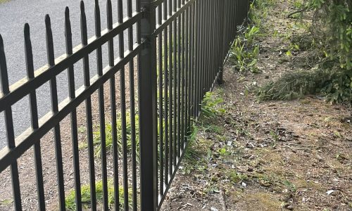 Fence Painting Service