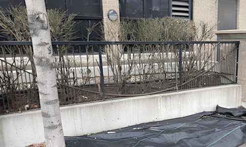 Fence Painting Service