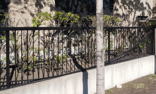 Fence Painting Service