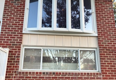 Professional Painters Near Me