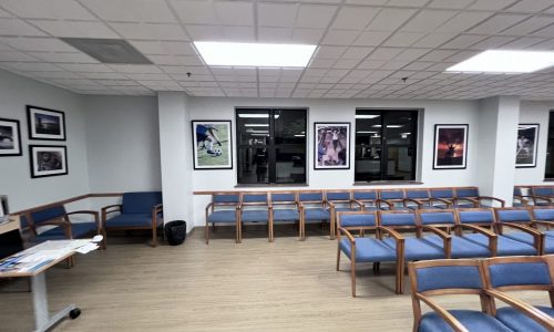 Medical Center Waiting Area Painting