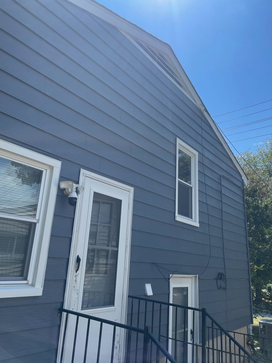 Gwynn Oak Professional Painters Preview Image 2