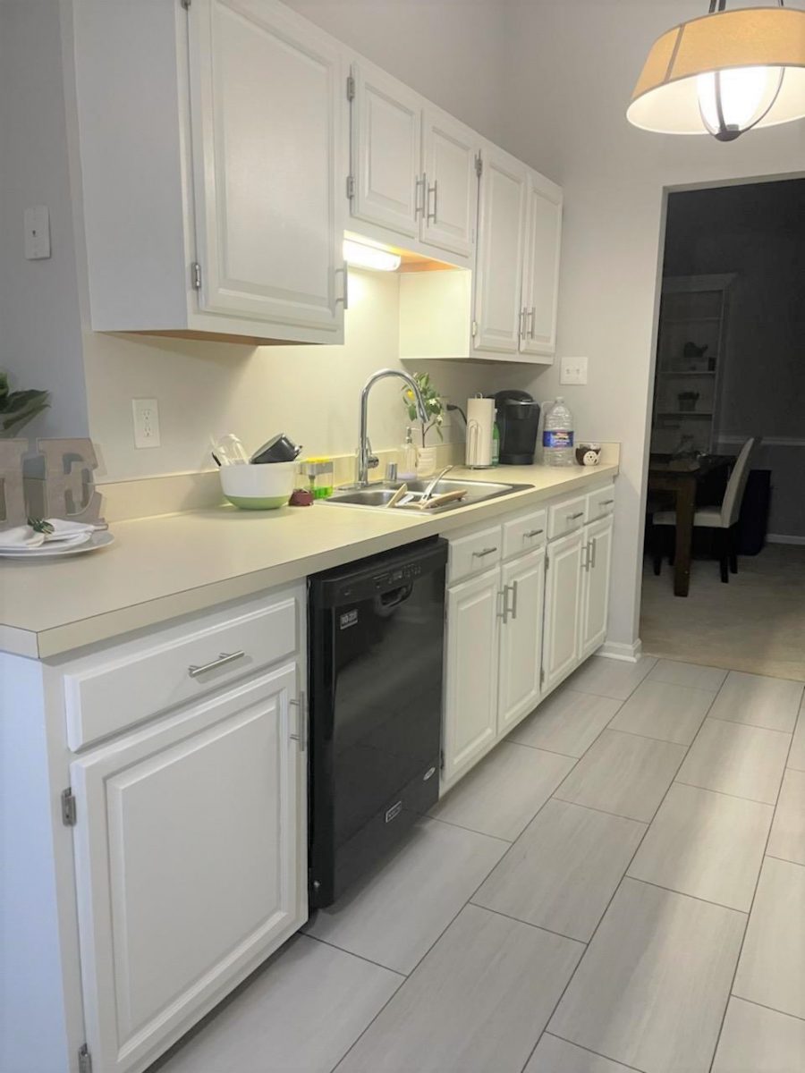 Cabinet Painting Project Preview Image 2