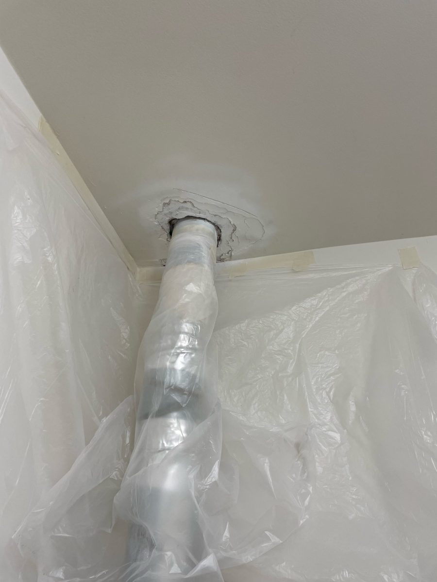 Professional Painting Repairs Preview Image 2