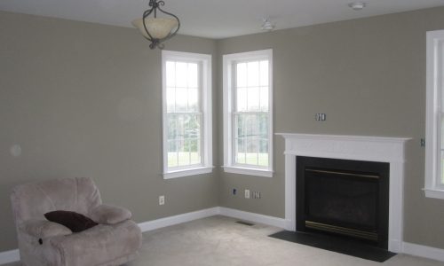 Living Room Painting