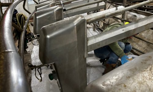 Gill Dairy Case Study After Photo